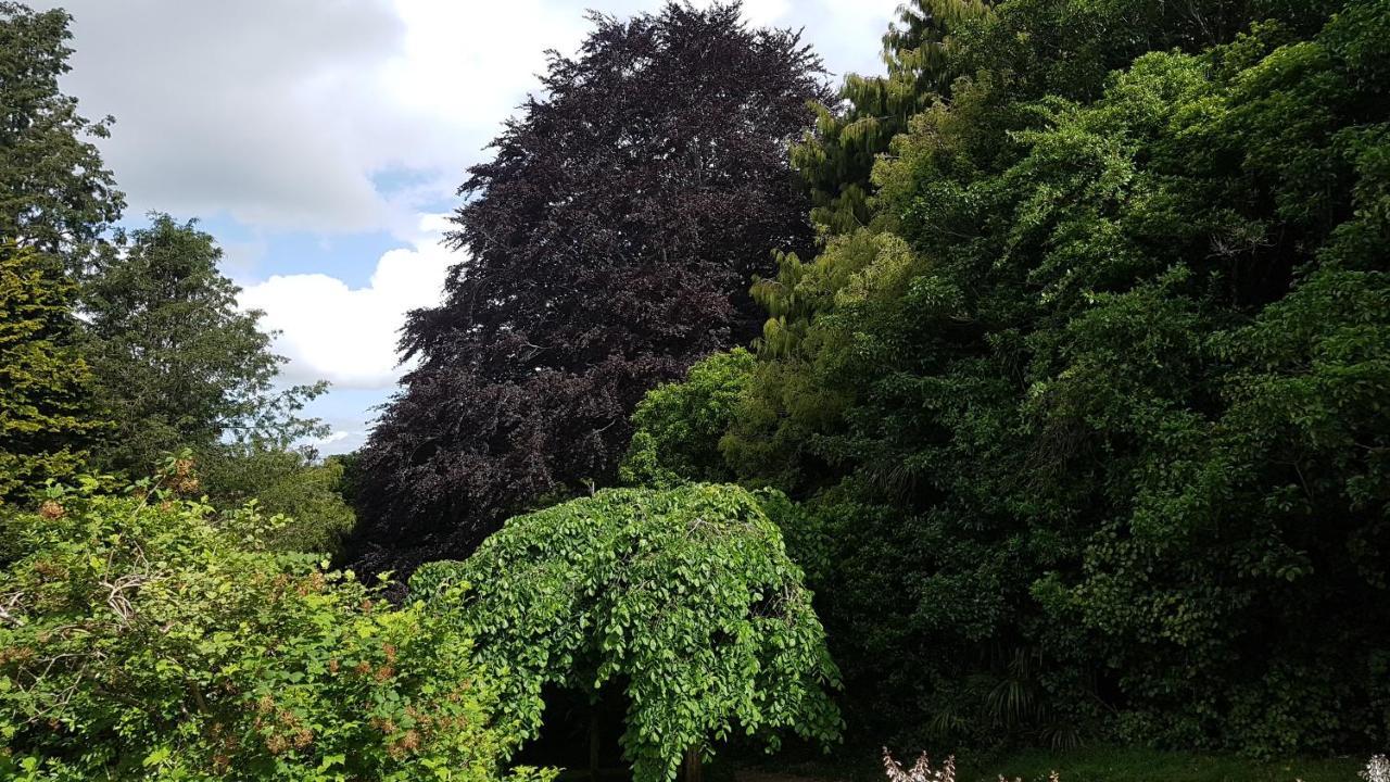 Bushy Park Historical HomesteadKai Iwi エクステリア 写真