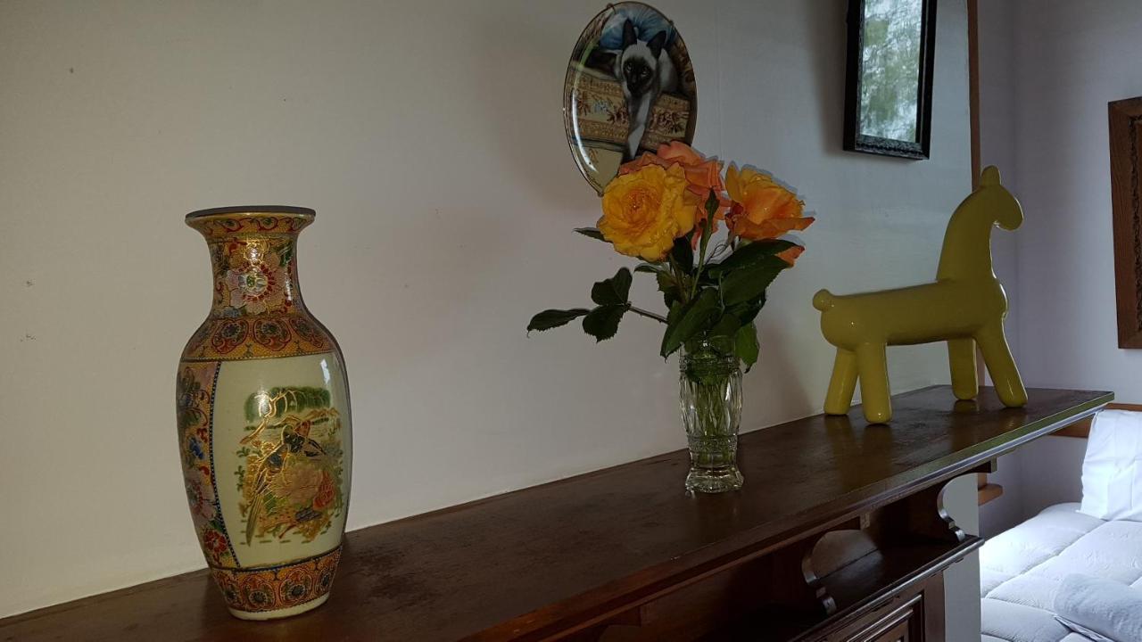 Bushy Park Historical HomesteadKai Iwi エクステリア 写真